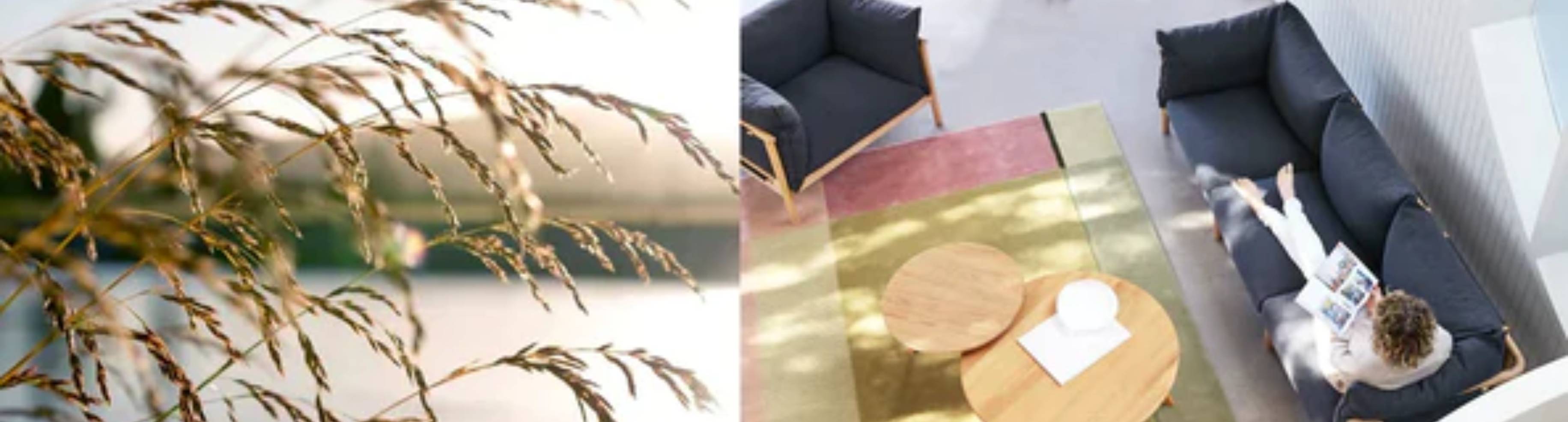 The Best Room Colors For Scandinavian Furniture