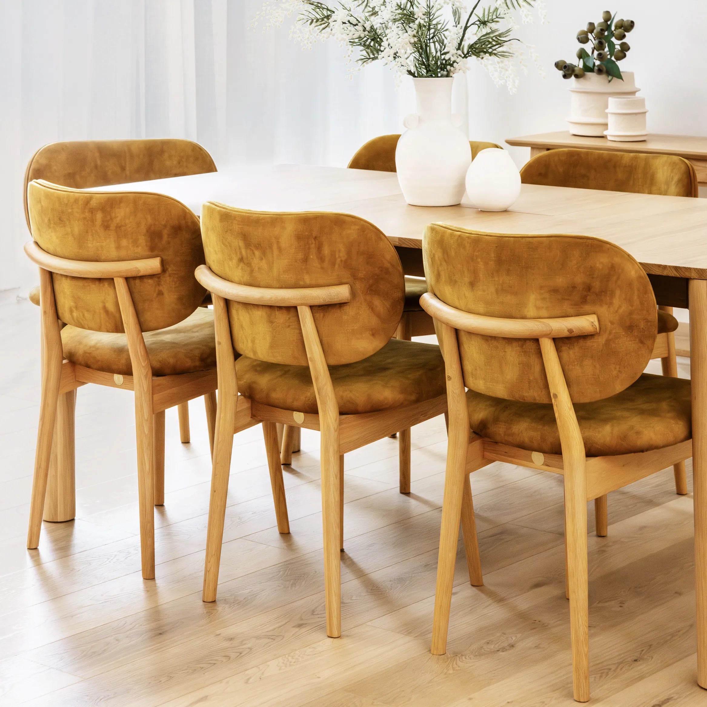 Olivia Dining Chair Mustard Velvet Solid American Oak