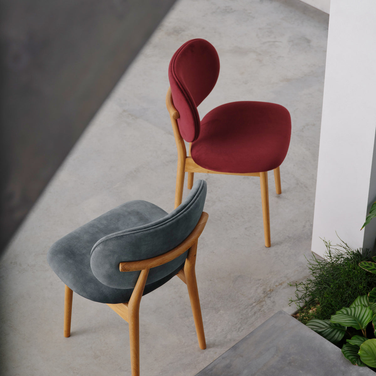 iconbydesign-olivia-dining-chair-oak-seafoam-velvet-DF3AA2-lifestyle-5_sq